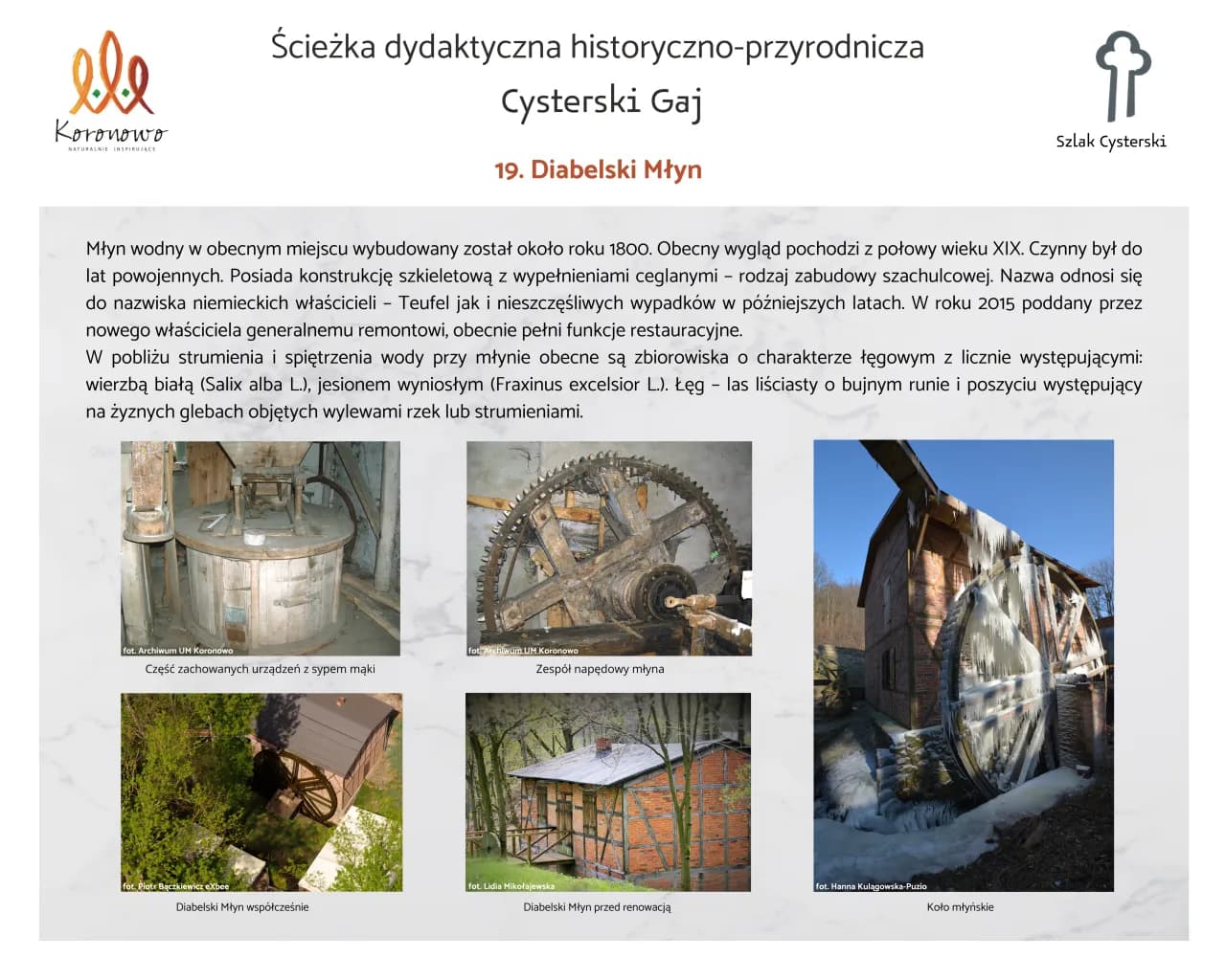 Koronowo atrakcje: Odkryj najbardziej zaskakujące miejsca w mieście