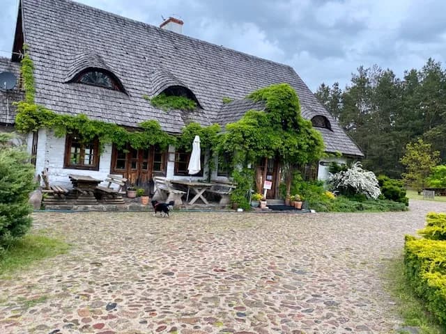 Gdzie zjeść w Janowie Podlaskim? Najlepsze miejsca na posiłek